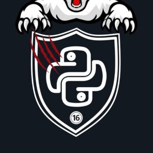 python programming ebook