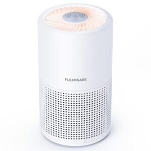 car air purifier