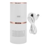 car air purifier
