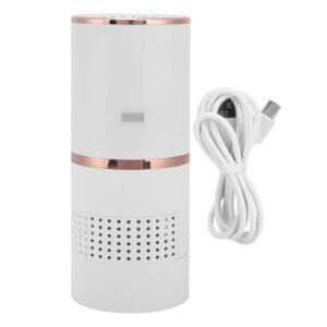 car air purifier