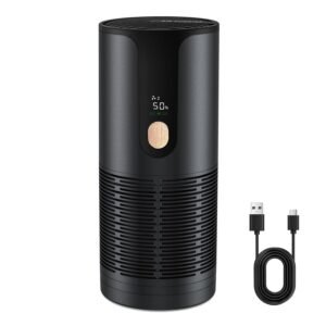 car air purifier