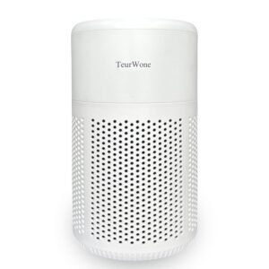 car air purifier