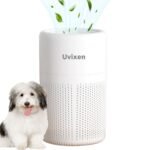 car air purifier
