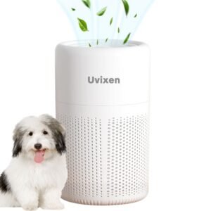 car air purifier