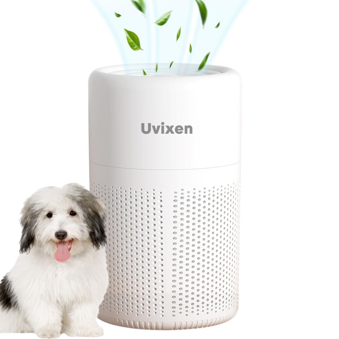 Air Purifiers for Home - Mini Air Purifier with HEPA car air purifier