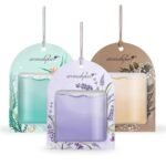 car air purifier