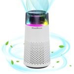 car air purifier