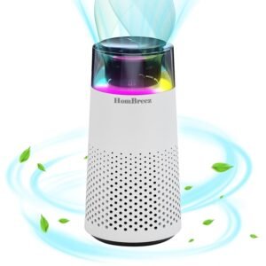 car air purifier