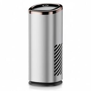 car air purifier