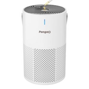 car air purifier