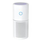 car air purifier