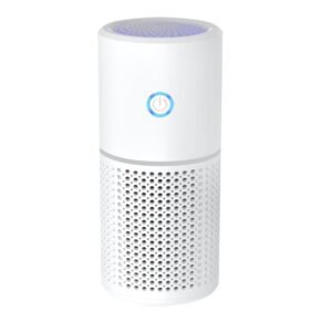 car air purifier