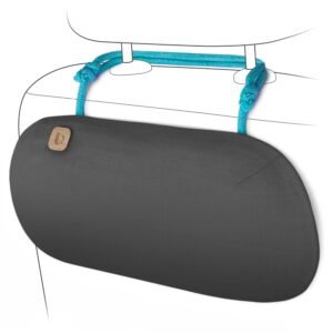 car air purifier