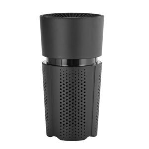 car air purifier