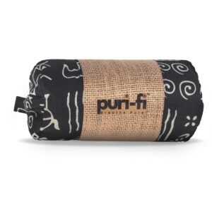 car air purifier