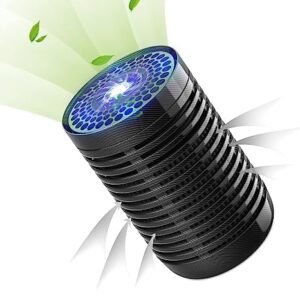 car air purifier