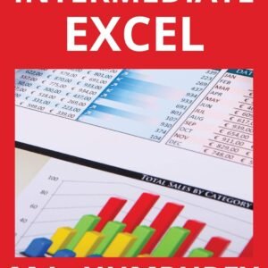 excel mastery course