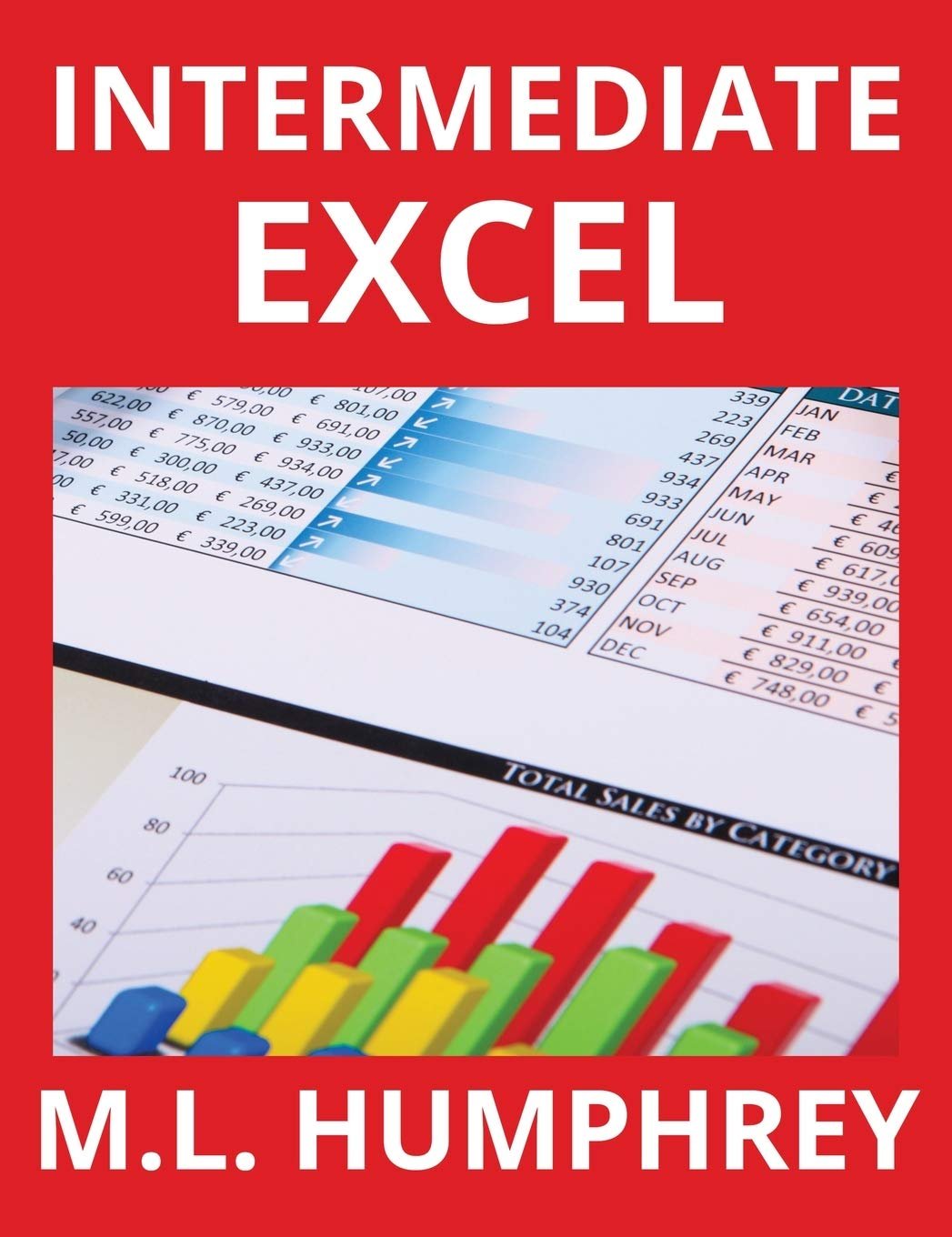 Intermediate Excel excel mastery course
